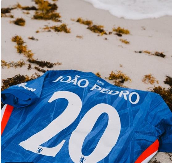 Quan chức Chelsea: Pedro sẽ mặc áo số 20, chiếc áo mà Palmer đã từng mặc trước đó Quan chức Chelsea: Pedro sẽ mặc áo số 20, chiếc áo mà Palmer đã từng mặc trước đó